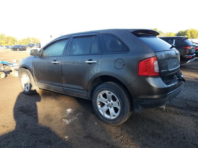 2011 FORD EDGE SEL - 2FMDK4JC1BBA48731