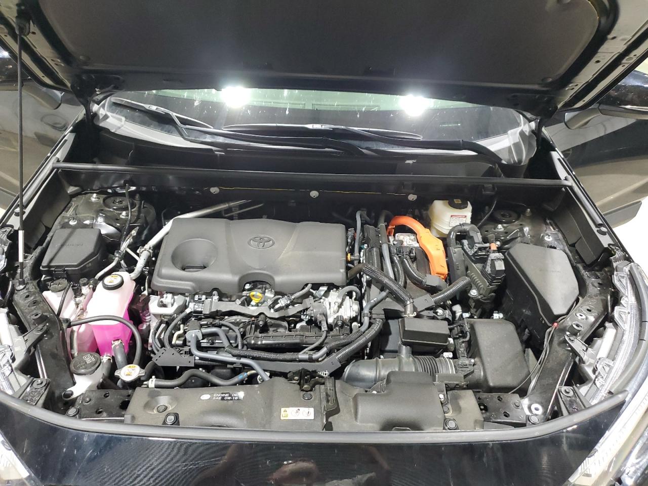 TOYOTA RAV4 XLE PREMIUM