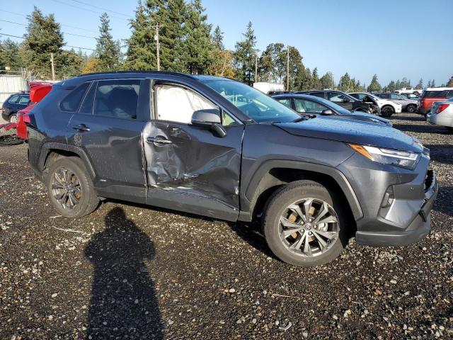 2023 TOYOTA RAV4 XLE P #3303758416
