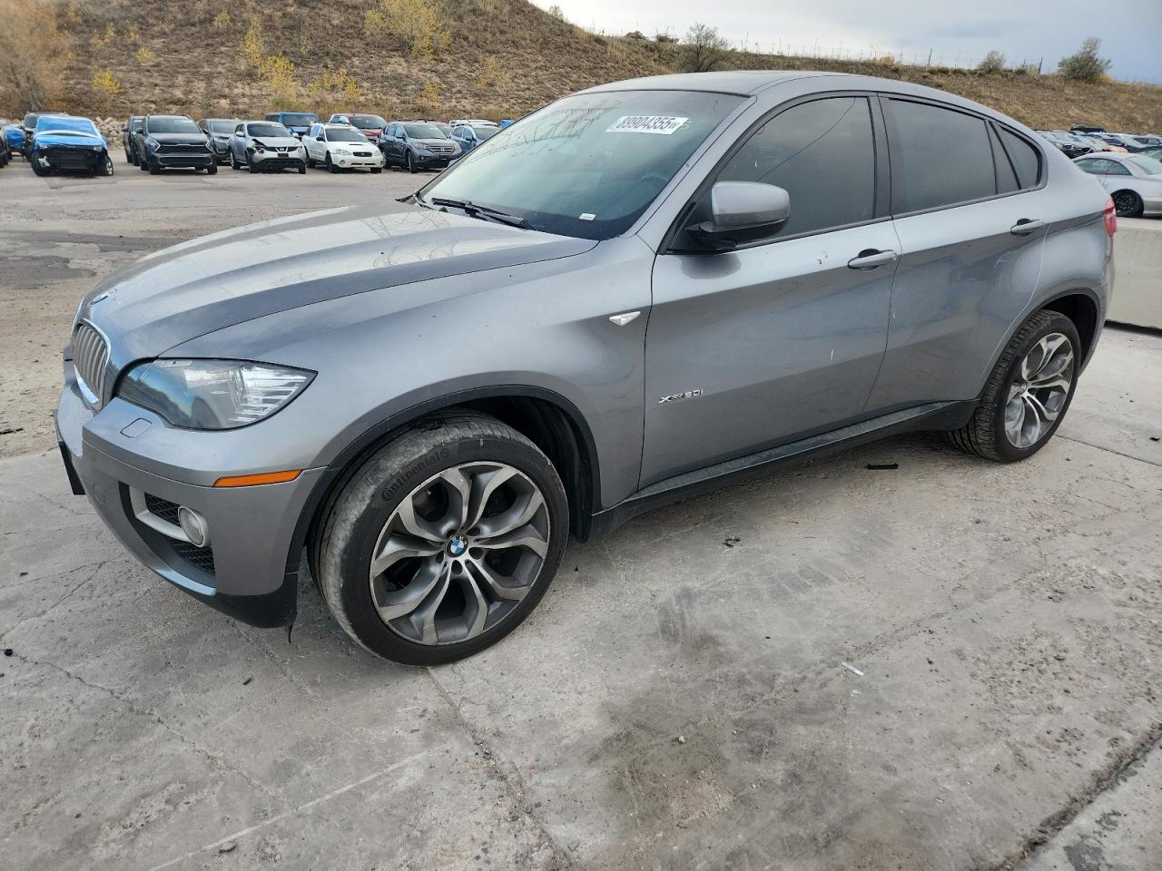BMW X6 XDRIVE50I