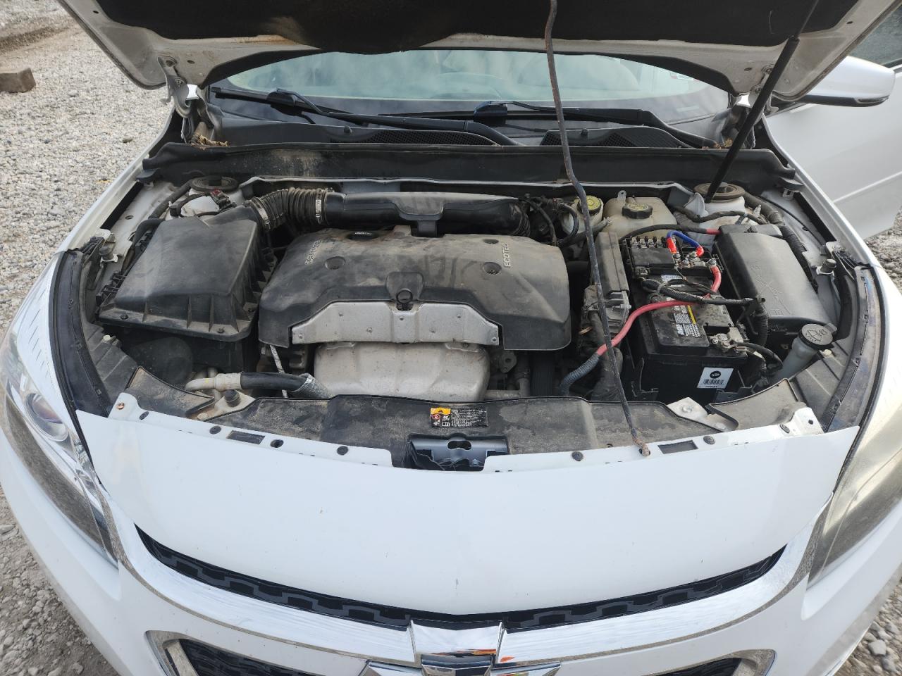 CHEVROLET MALIBU 1LT