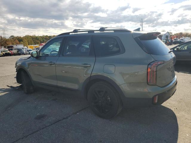 2025 KIA TELLURIDE #3296266432