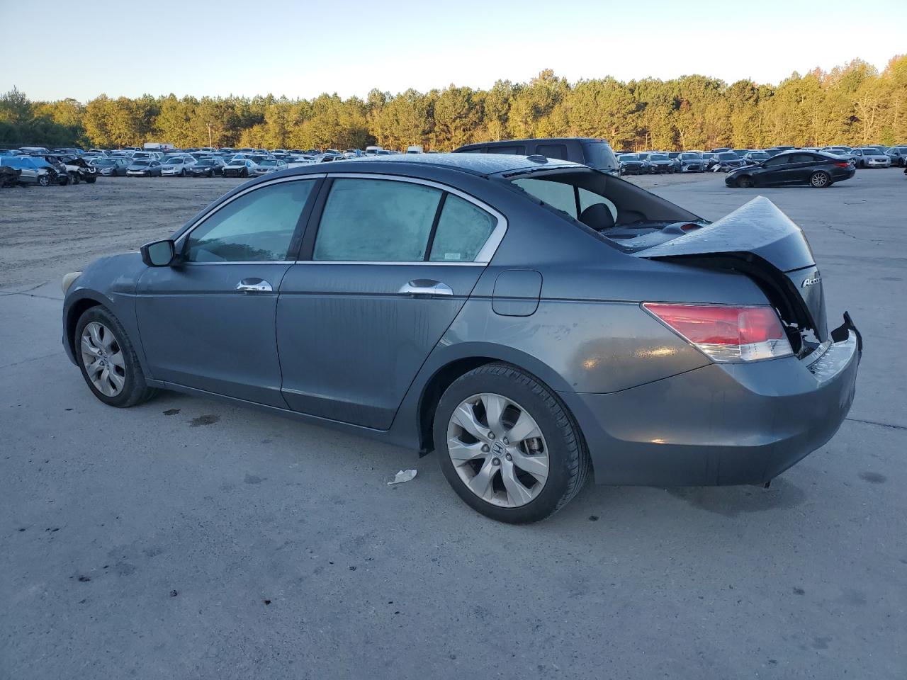 Lot #3290061275 2008 HONDA ACCORD EXL