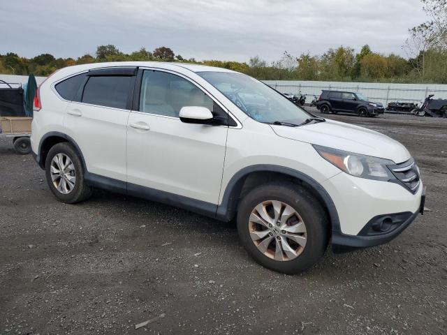 2014 HONDA CR-V EX - 5J6RM4H57EL060442