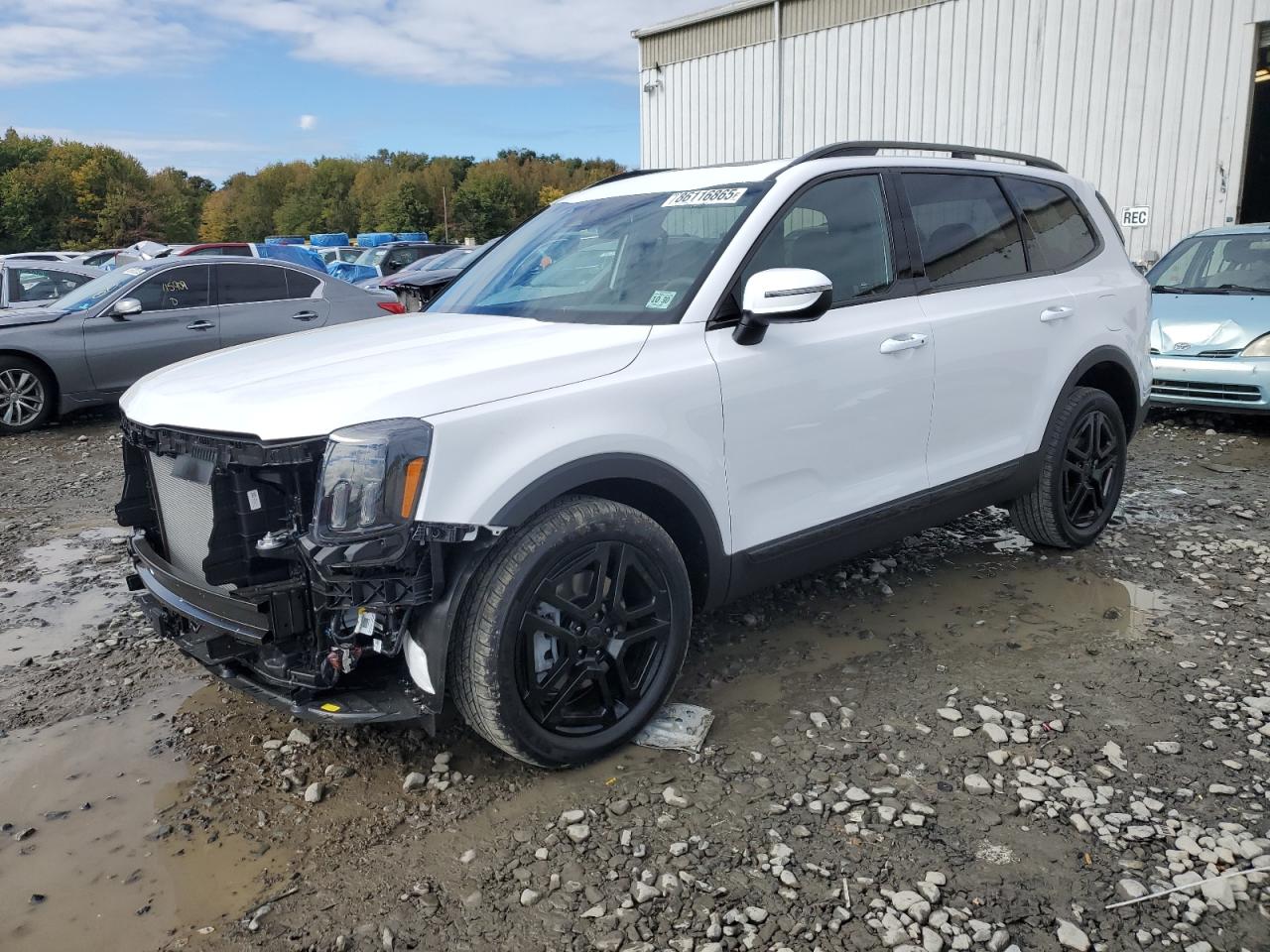 Lot #3284822539 2025 KIA TELLURIDE
