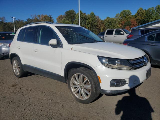 2013 VOLKSWAGEN TIGUAN S - WVGBV7AX8DW549720