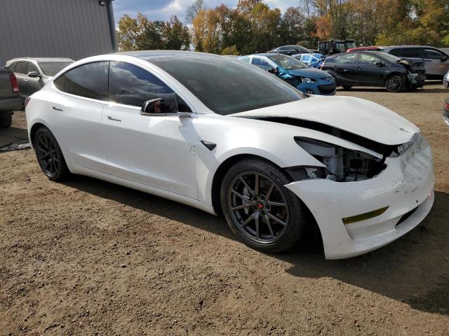 2019 TESLA MODEL 3 #3303883711
