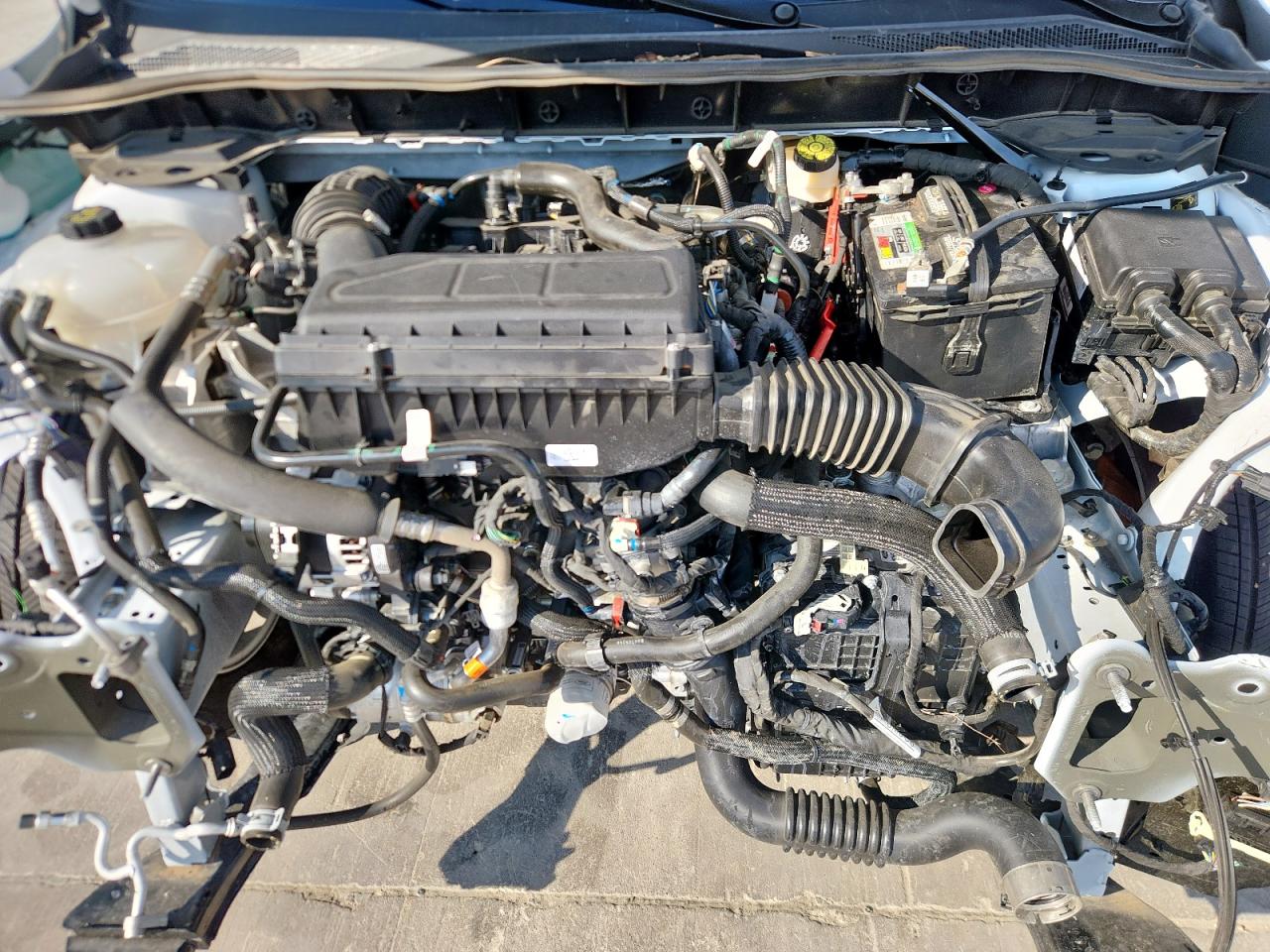 Lot #3311609296 2025 FORD ESCAPE ACT