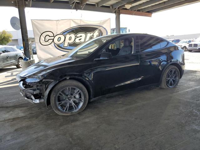 2025 TESLA MODEL Y - 7SAYGDEE2SF286161