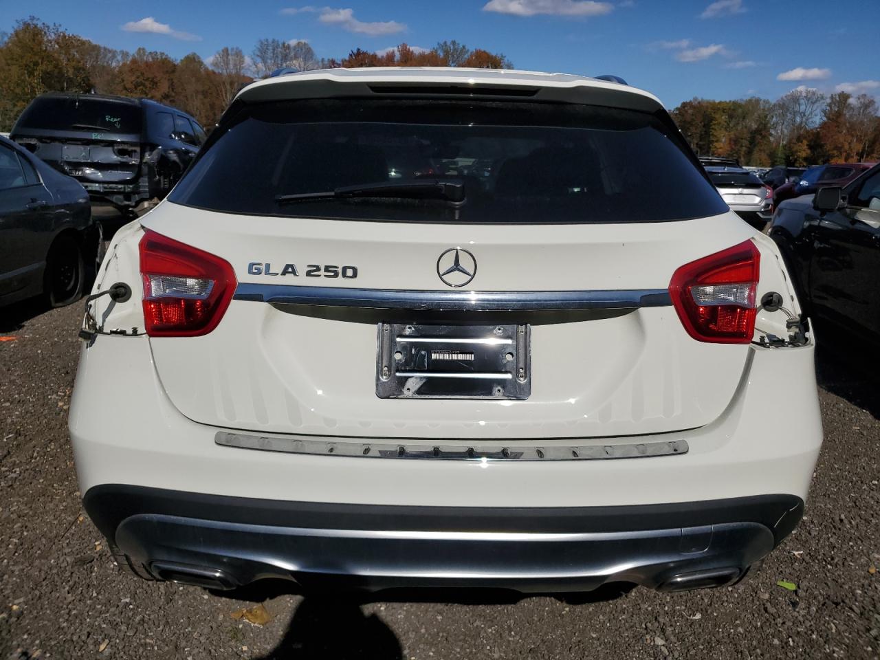 MERCEDES-BENZ GLA-CLASS 250