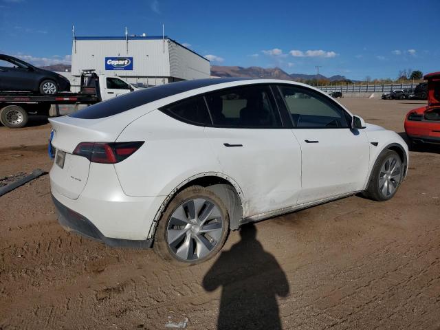 2023 TESLA MODEL Y #3294813749