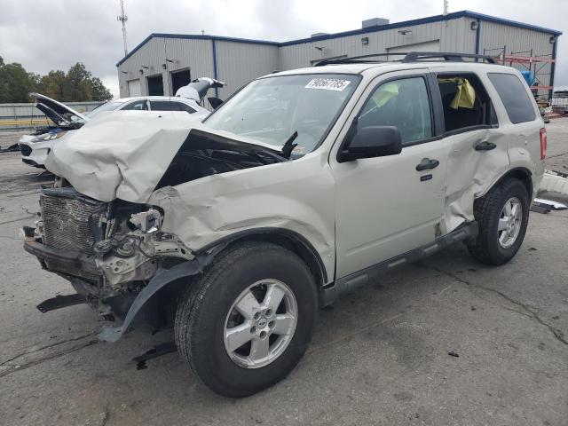Global Auto Auctions: 2009 FORD ESCAPE XLT
