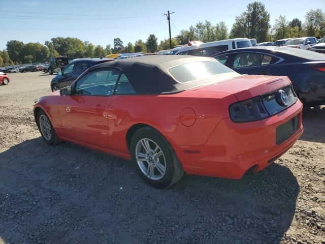 2013 FORD MUSTANG - 1ZVBP8EM6D5239282
