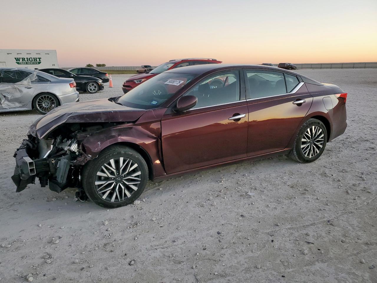 Lot #3309808347 2023 NISSAN ALTIMA SV