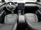 Lot #3305323321 2024 HYUNDAI TUCSON SEL