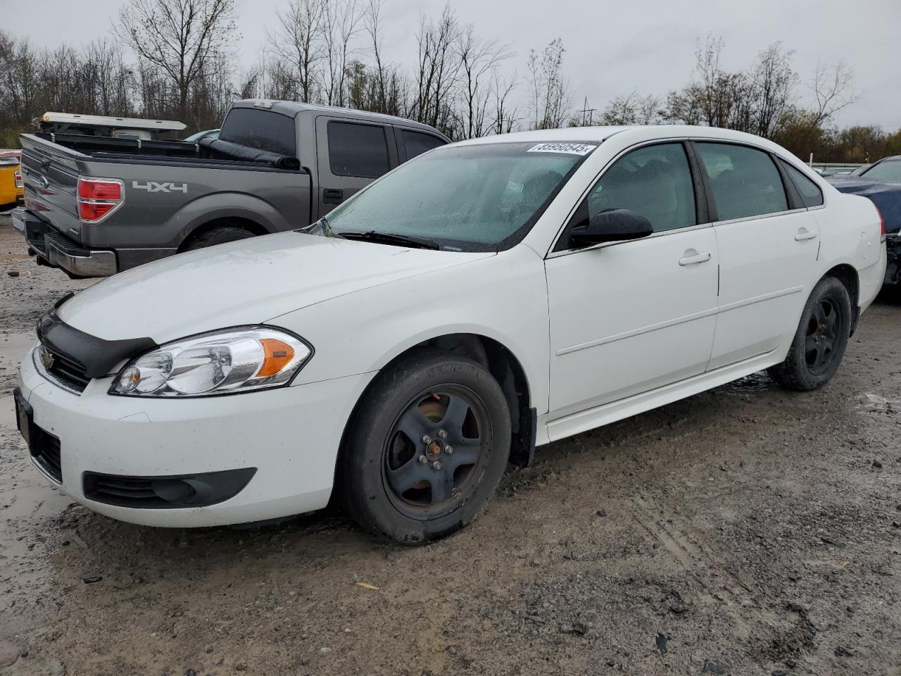 Lot #3279351735 2010 CHEVROLET IMPALA LT