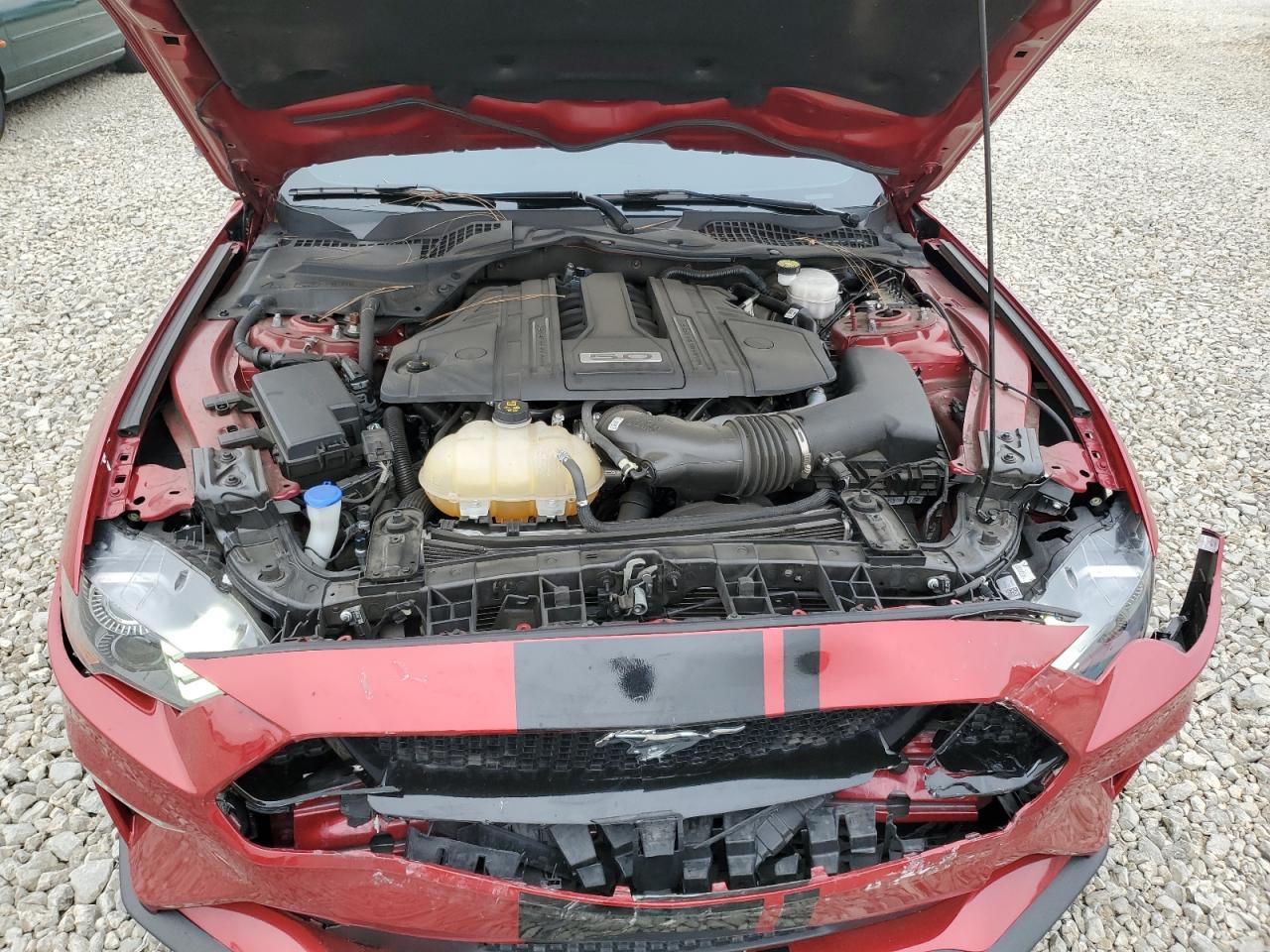 Lot #3316029316 2021 FORD MUSTANG GT