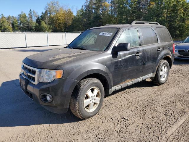 2010 FORD ESCAPE XLT - 1FMCU9D77AKB73688