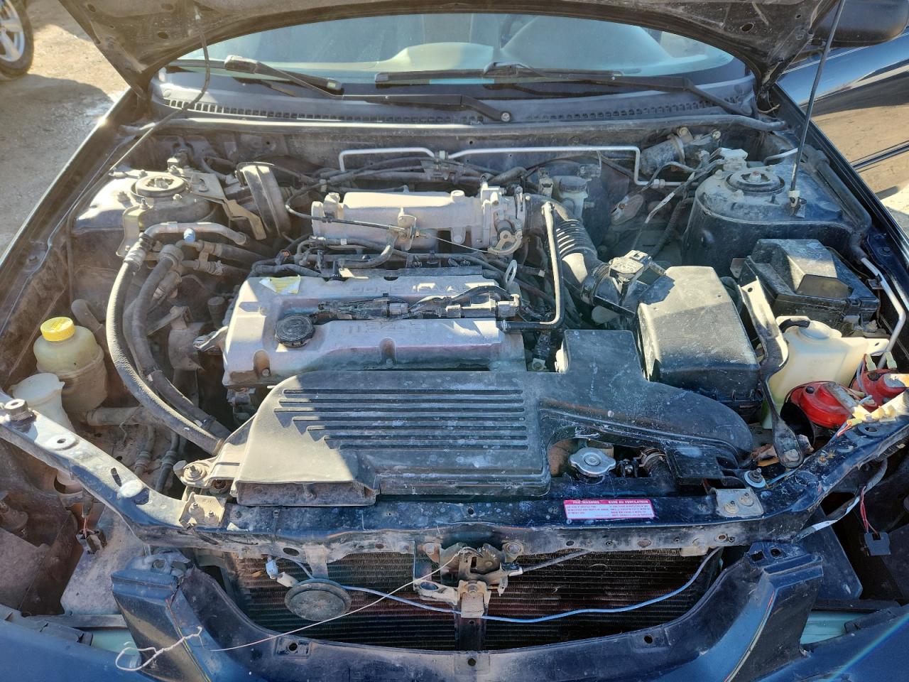 Lot #3283338978 1999 MAZDA PROTEGE DX