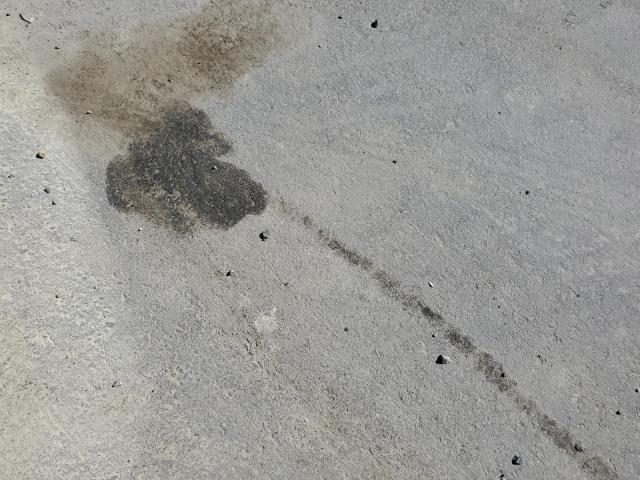 2013 FORD C-MAX SEL - 1FADP5BU9DL517477