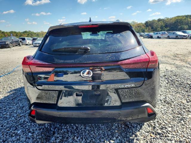 2024 LEXUS UX 250H BA #3287533005
