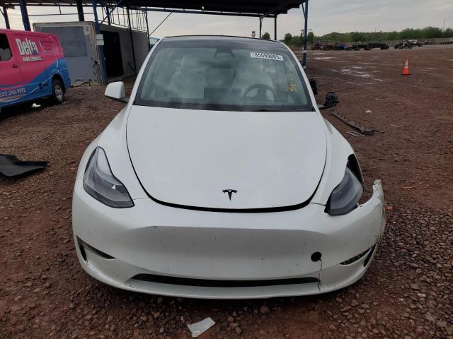 2021 TESLA MODEL Y - 5YJYGDEF1MF252091