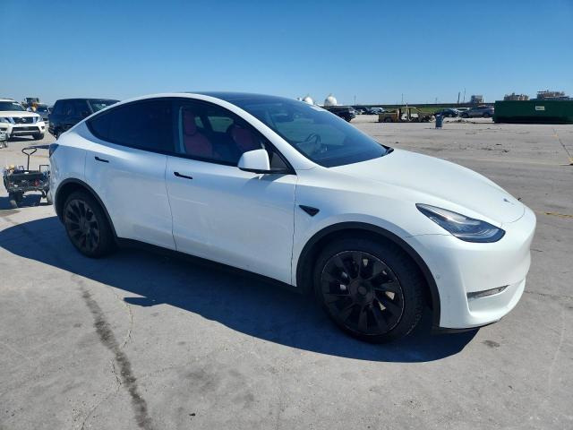 2021 TESLA MODEL Y #3283985853
