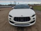 Lot #3301662630 2019 MASERATI LEVANTE LU