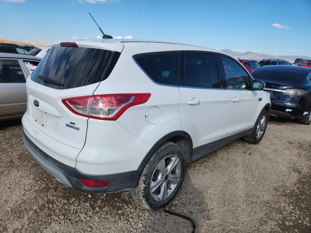 2013 FORD ESCAPE SE - 1FMCU0GX0DUD87759