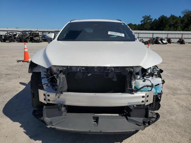 2024 LEXUS RX 350 BAS - 2T2BAMBA8RC040098