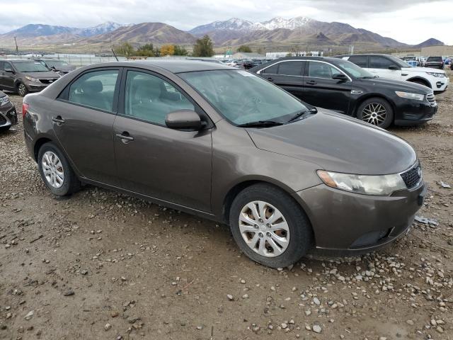 2013 KIA FORTE EX - KNAFU4A27D5736221