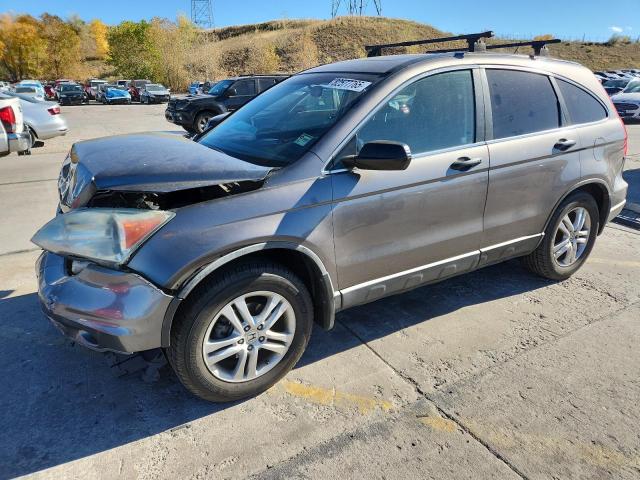 Global Auto Auctions: 2010 HONDA CR-V EX