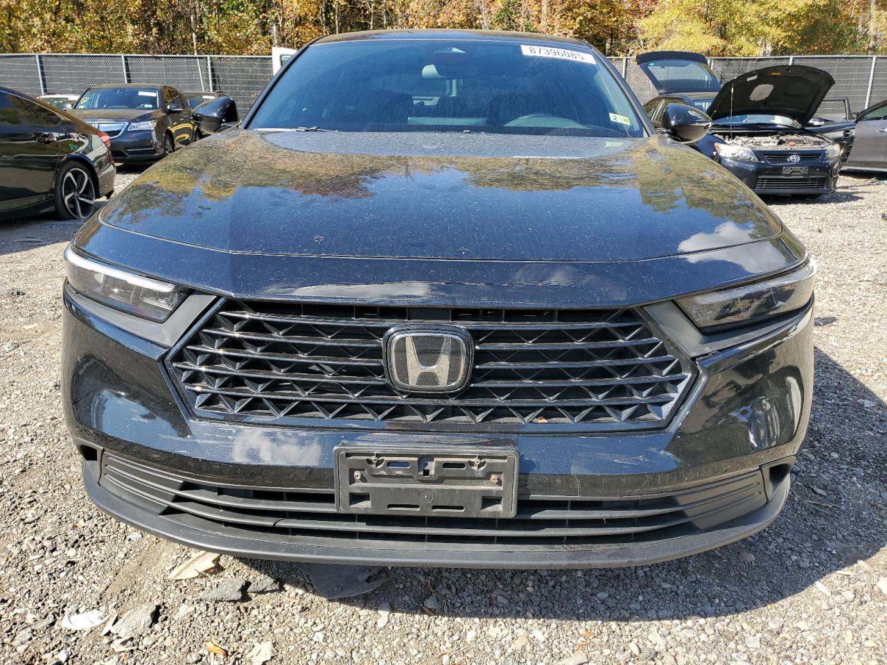 Lot #3309194624 2024 HONDA ACCORD HYB