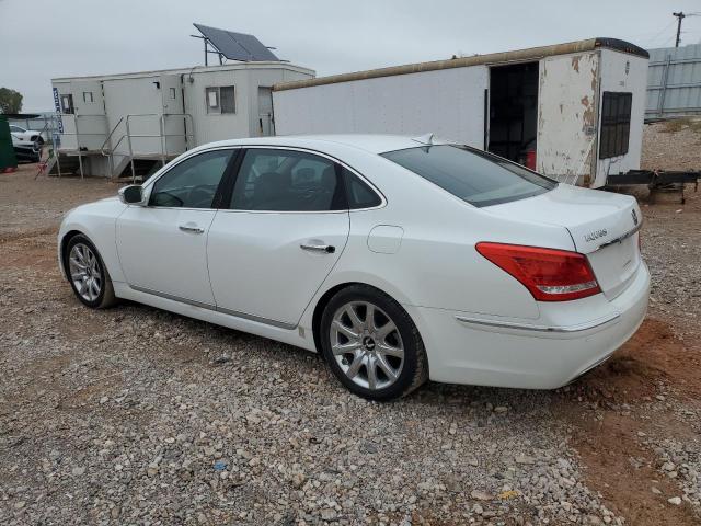 2013 HYUNDAI EQUUS SIGN - KMHGH4JH6DU058028