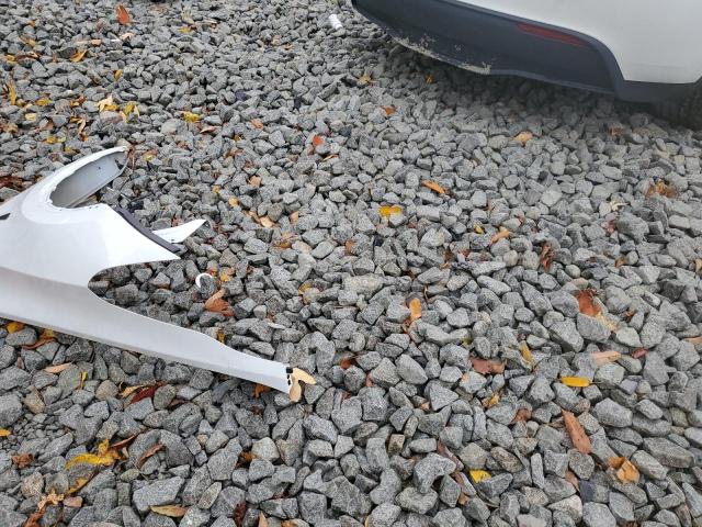 2023 TESLA MODEL Y #3296308426