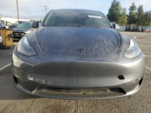 2023 TESLA MODEL Y #3311839191