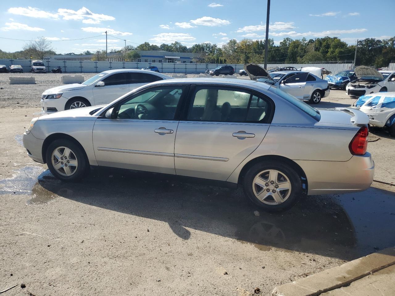 Lot #3282421269 2004 CHEVROLET MALIBU LS