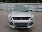 Lot #3296250521 2016 FORD ESCAPE SE