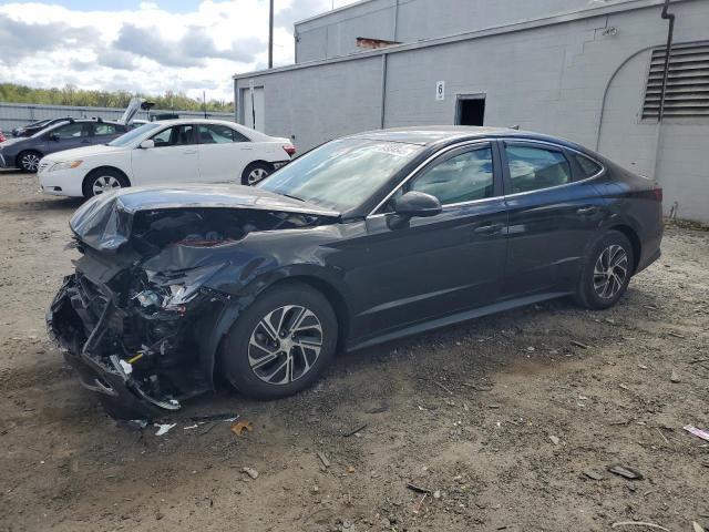 Global Auto Auctions: 2022 HYUNDAI SONATA HYBRID