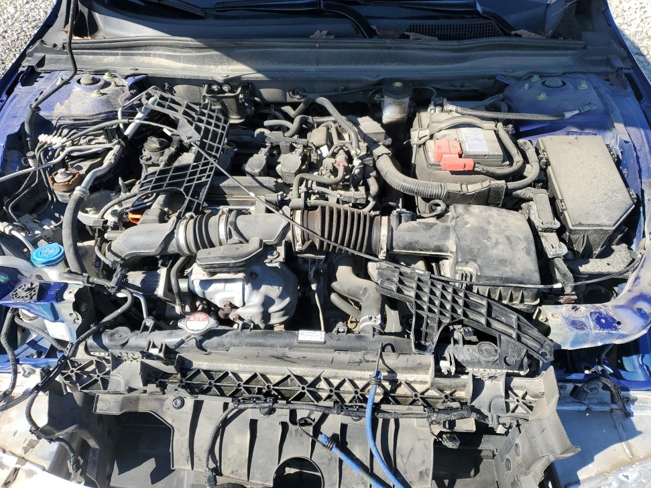 HONDA ACCORD SPORT SE