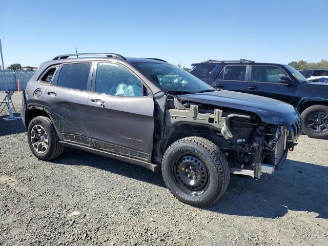 2022 JEEP CHEROKEE T - 1C4PJMBX5ND500586