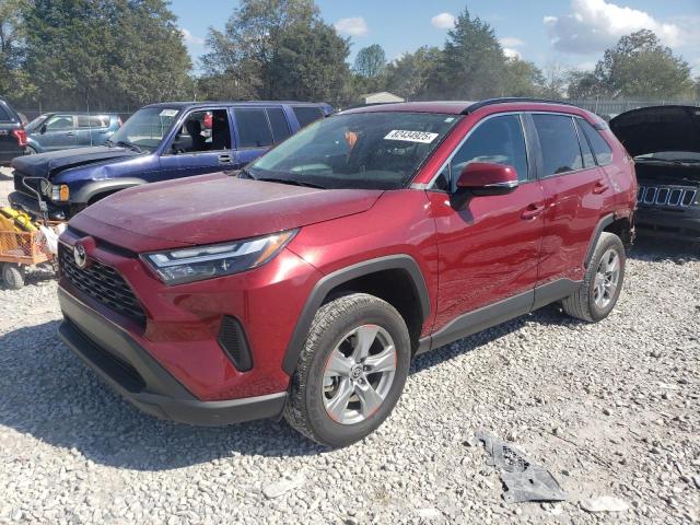 Global Auto Auctions: 2025 TOYOTA RAV4 XLE