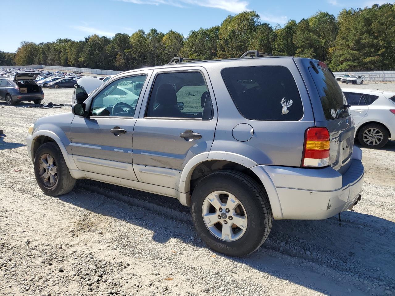Lot #3302733000 2007 FORD ESCAPE XLT