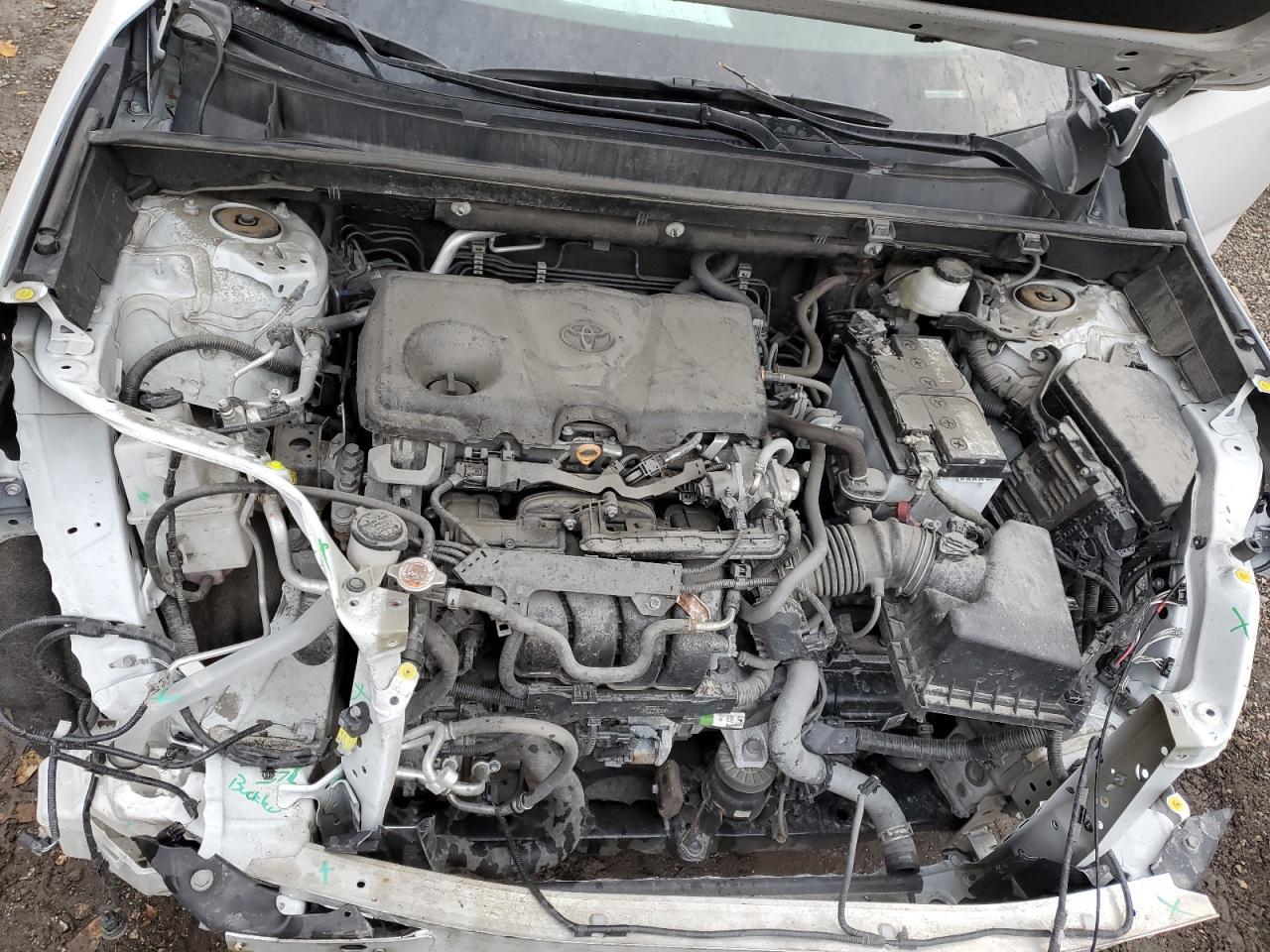 Lot #3303705026 2023 TOYOTA RAV4 LE