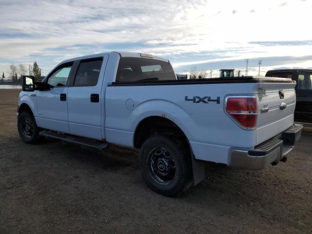 2014 FORD F150 SUPER - 1FTVW1ET3EKF11825