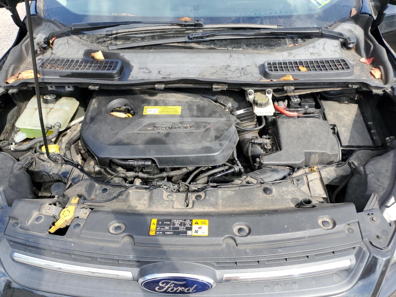 Lot #3302736000 2013 FORD ESCAPE SE