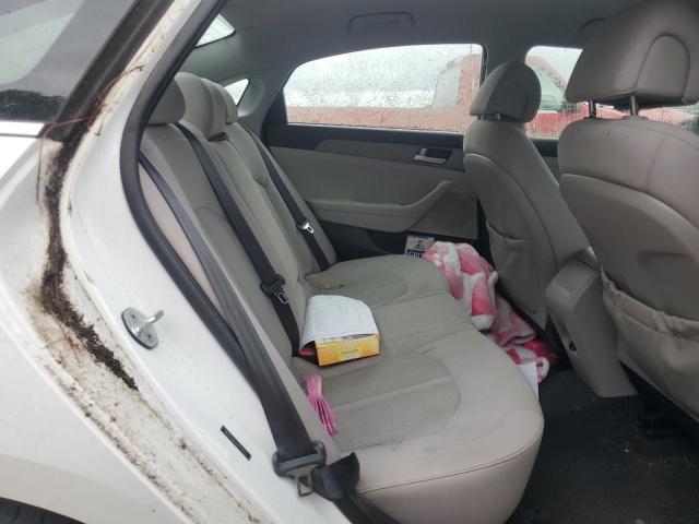 2016 HYUNDAI SONATA SE #3312259791