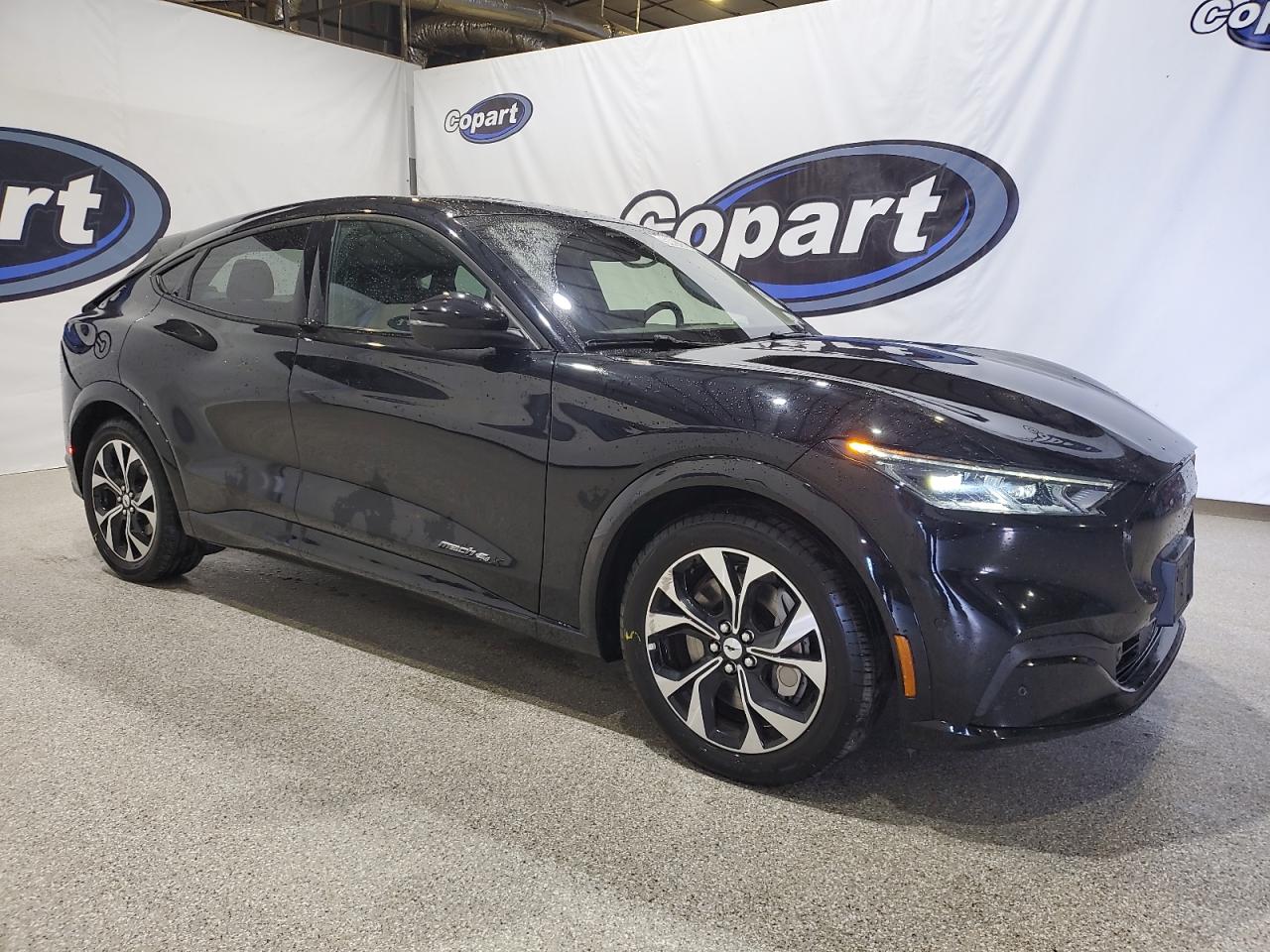 FORD MUSTANG PREMIUM