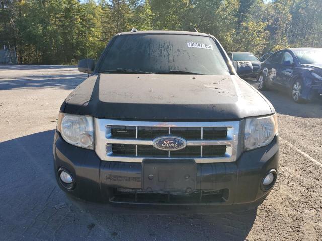 2010 FORD ESCAPE XLT - 1FMCU9D77AKB73688