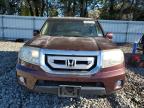 Lot #3293523416 2011 HONDA PILOT EX